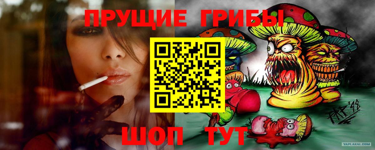 Псилоцибиновые грибы Psilocybe Абакан