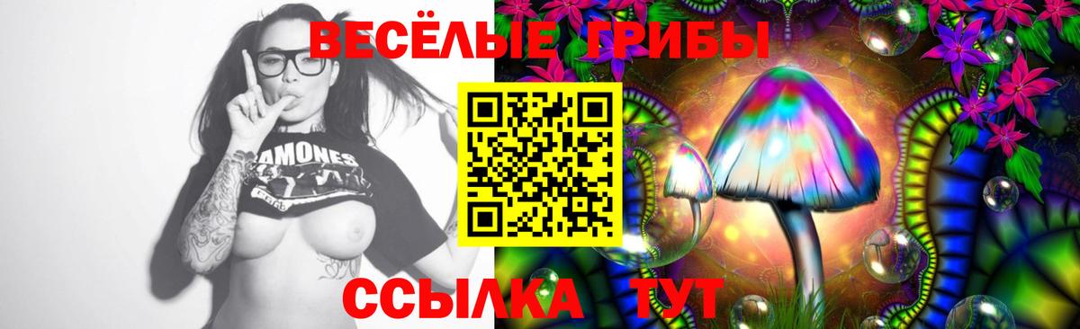 Абакан  Псилоцибиновые грибы GOLDEN TEACHER  Вход с VPN  Галлюциногенные грибы Cubensis 